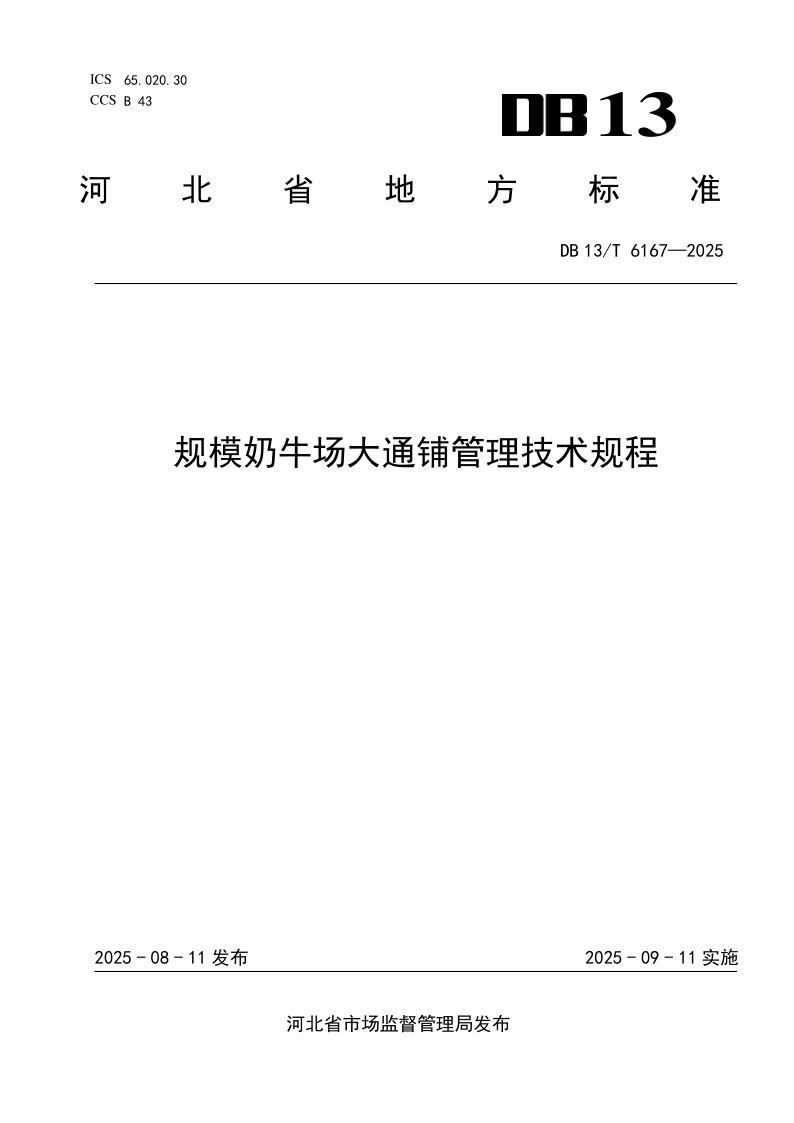 DB13/T 6167-2025 规模奶牛场大通铺管理技术规程