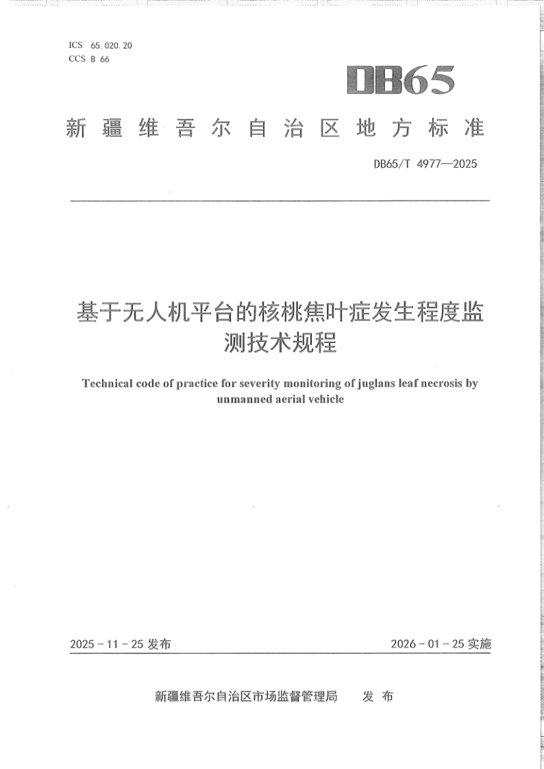 DB65/T 4977-2025 基于无人机平台的核桃焦叶症发生程度监测技术规程