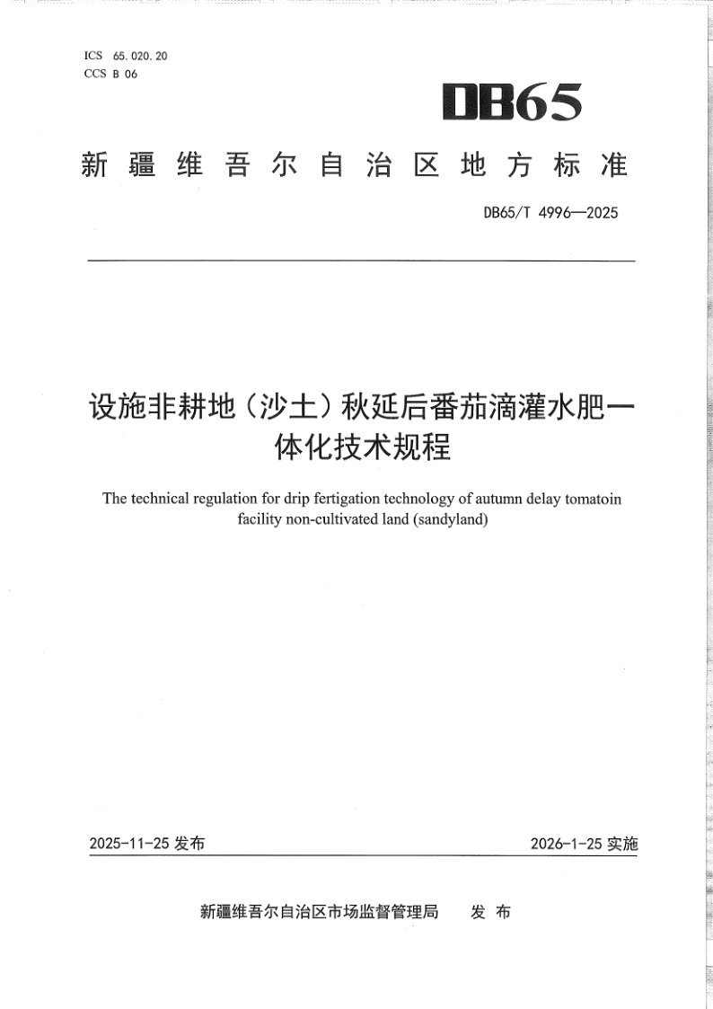 DB65/T 4996-2025 设施非耕地(沙土)秋延后番茄滴灌水肥一体化技术规程