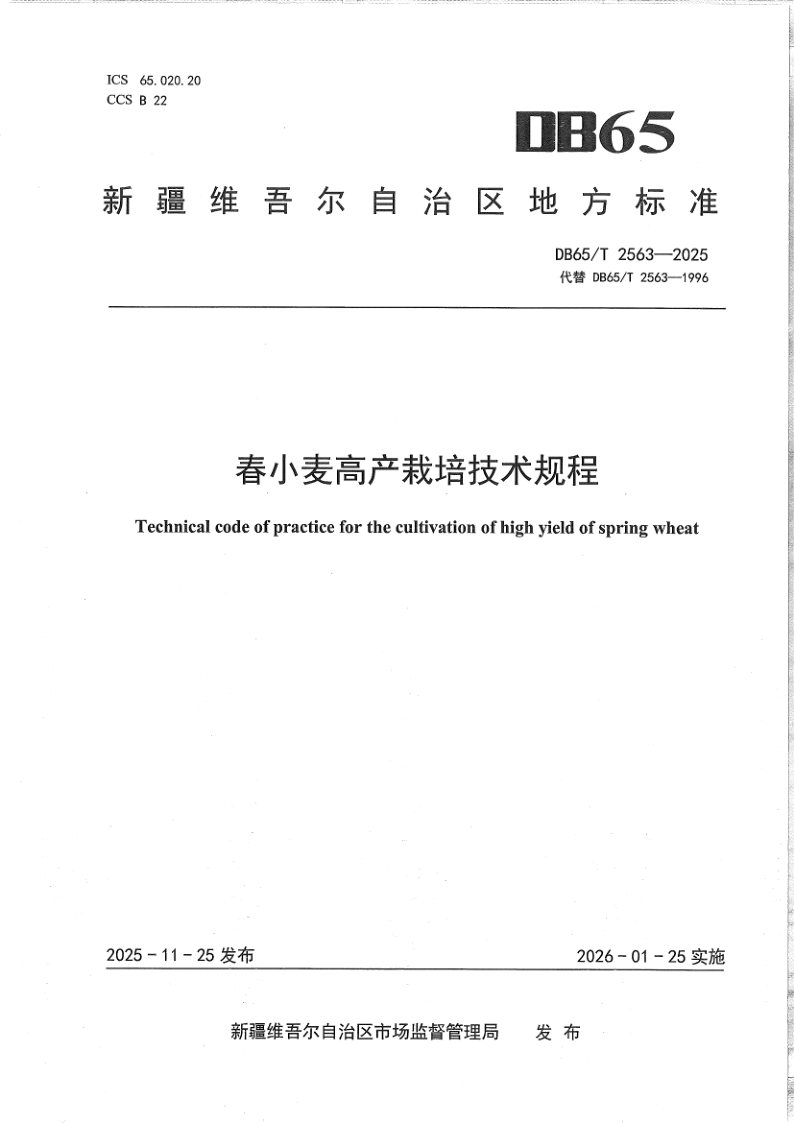 DB65/T 2563-2025 春小麦高产栽培技术规程