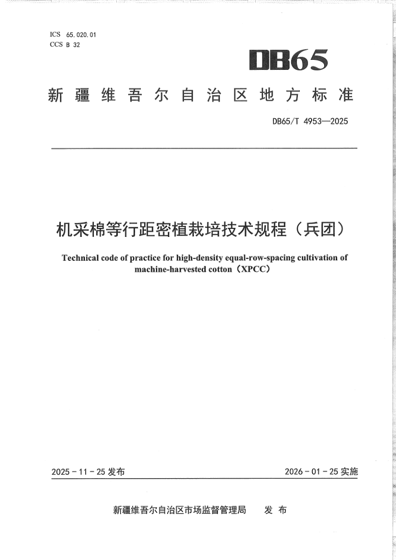 DB65/T 4953-2025 机采棉等行距密植栽培技术规程(兵团)