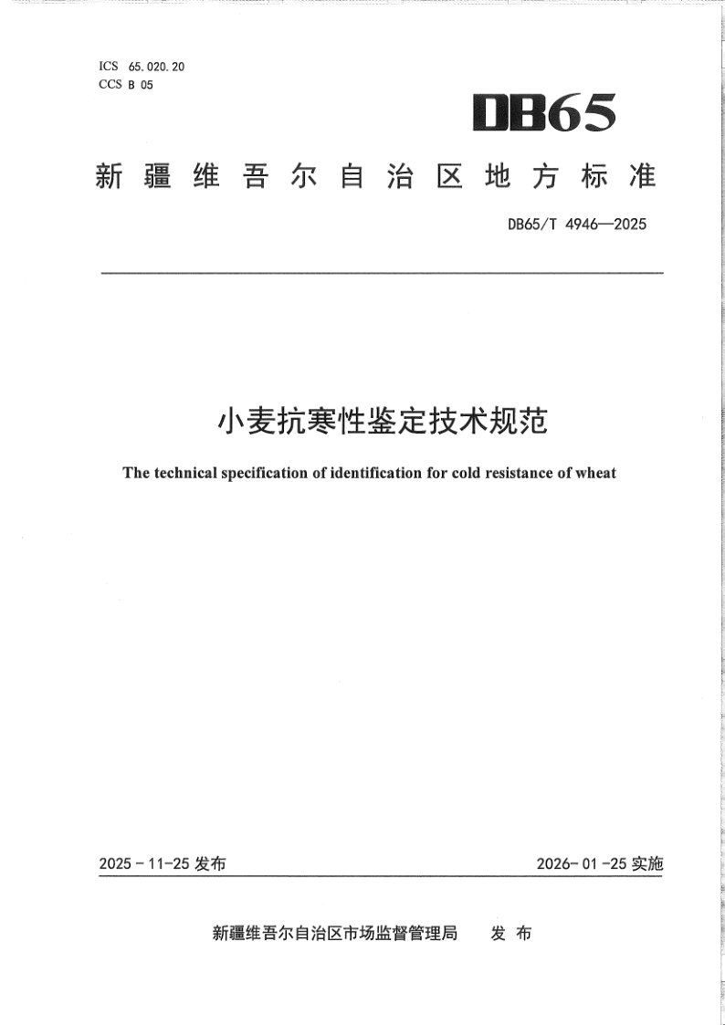DB65/T 4946-2025 小麦抗寒性鉴定技术规范