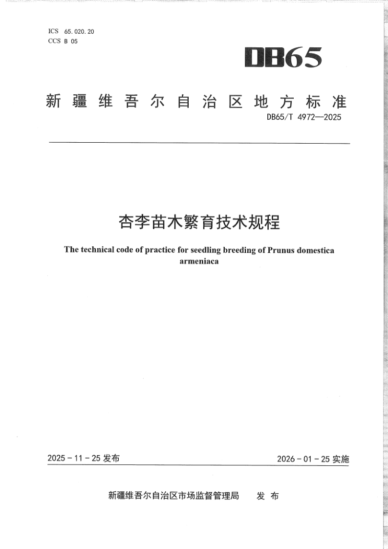 DB65/T 4972-2025 杏李苗木繁育技术规程