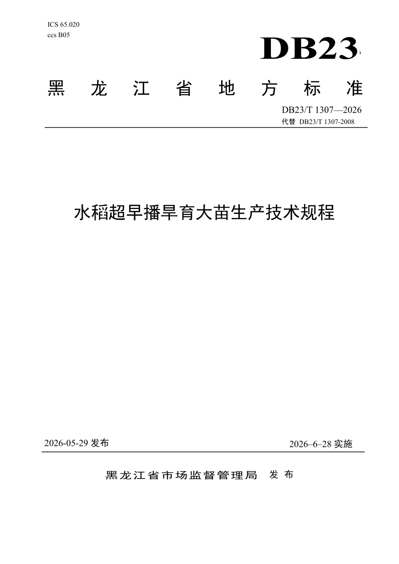 DB23/T 1307-2026 水稻超早播育苗大苗生产技术规程