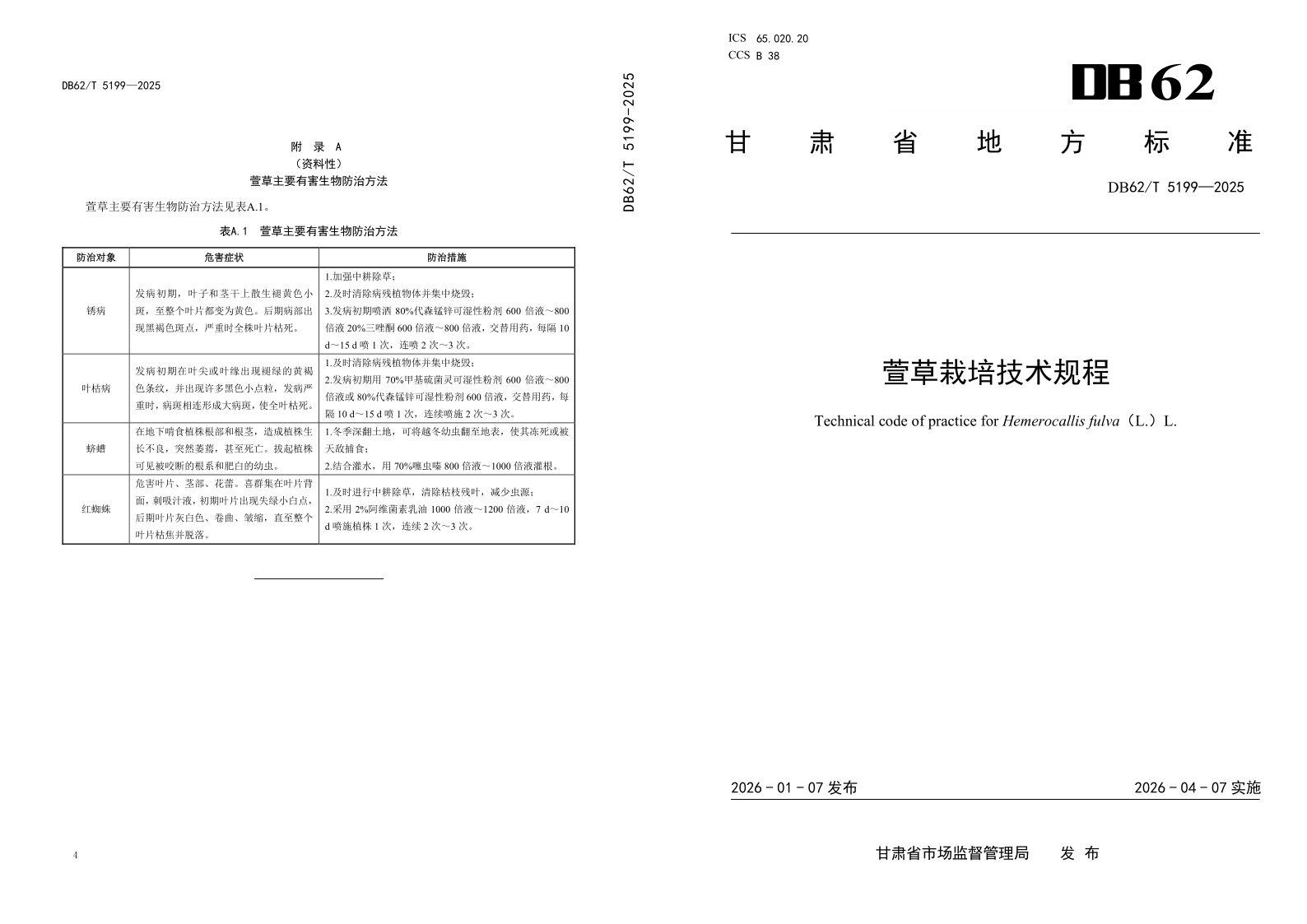 DB62/T 5199-2025 萱草栽培技术规程 DB62/T 5199-2025 萱草栽培技术规程