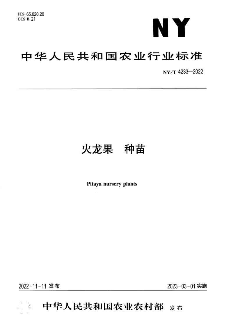 NY/T 4233-2022 火龙果 种苗 NY/T 4233-2022 火龙果 种苗