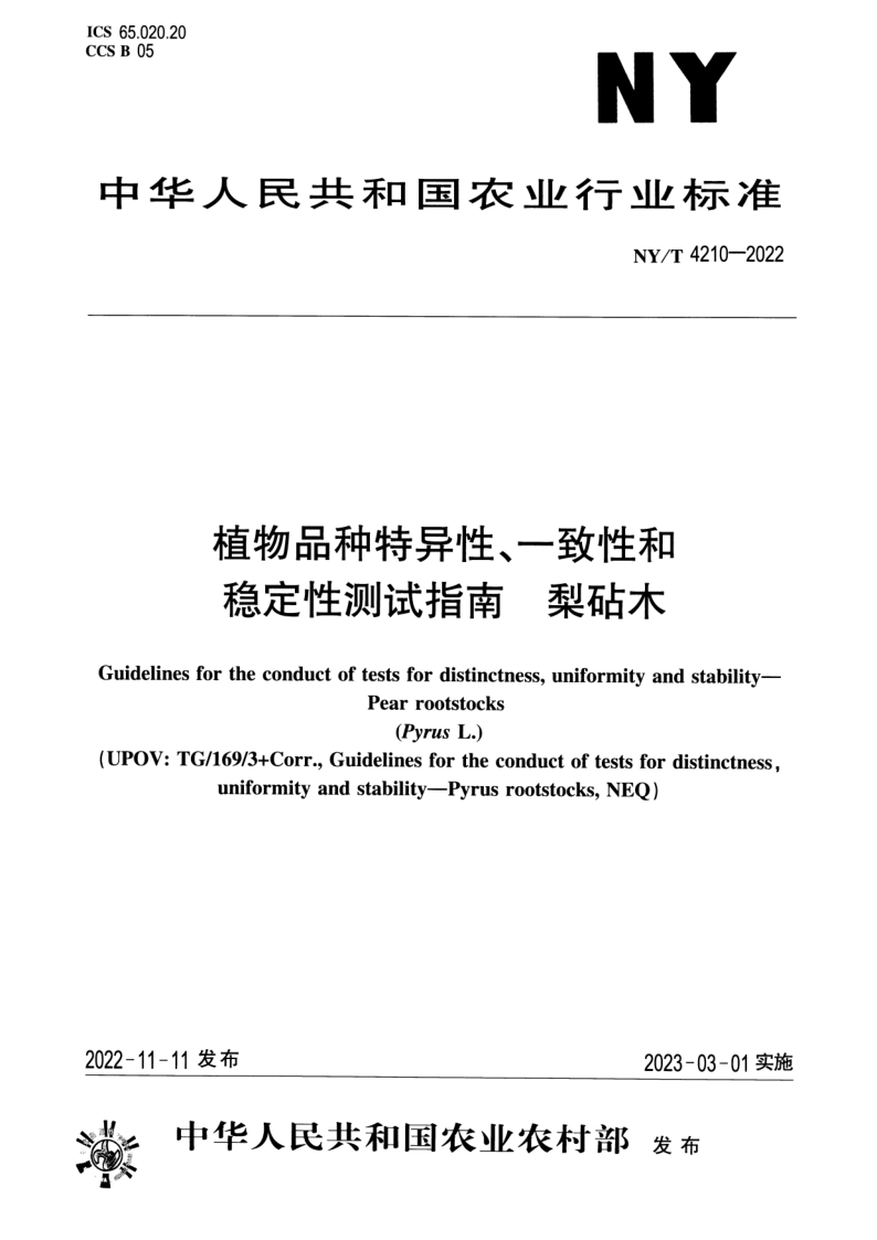 NY_T 4210-2022.png